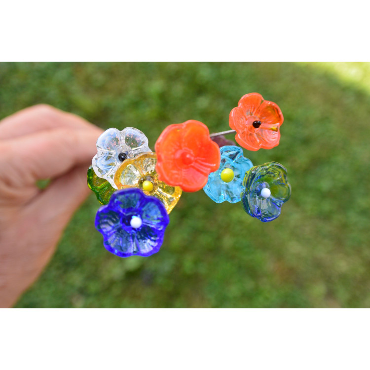 "Glasblüte Ampfer"